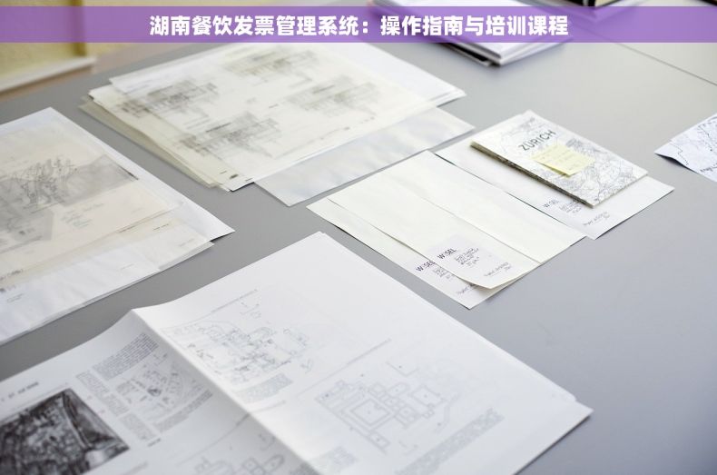 湖南餐饮发票管理系统：操作指南与培训课程