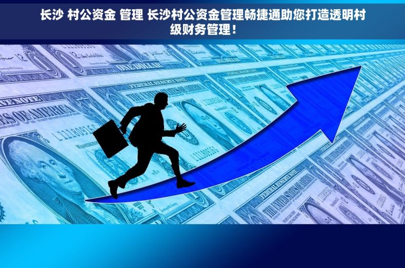 长沙 村公资金 管理 长沙村公资金管理畅捷通助您打造透明村级财务管理！