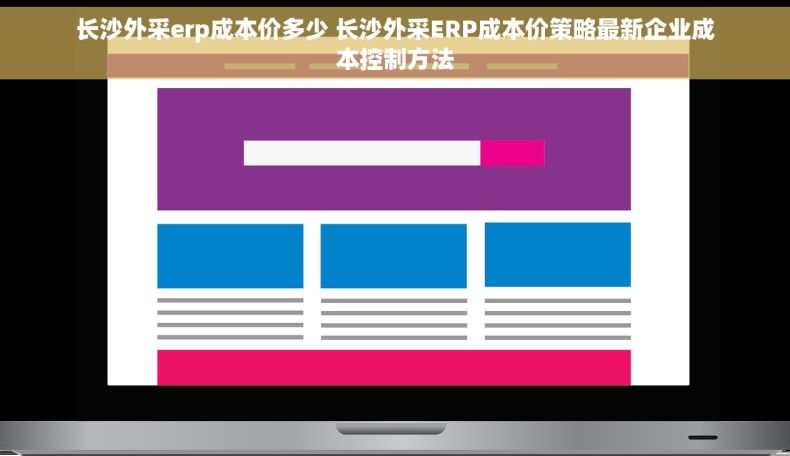 长沙外采erp成本价多少 长沙外采ERP成本价策略最新企业成本控制方法