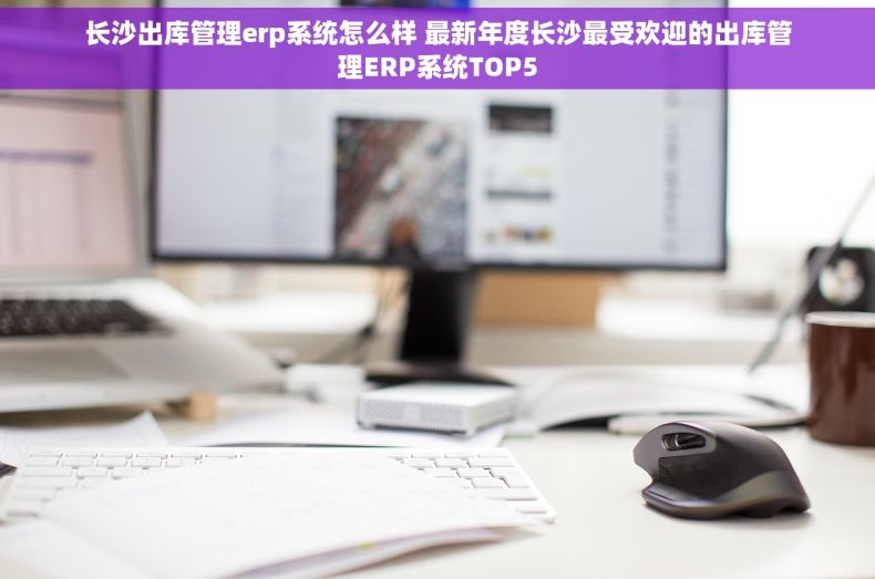 长沙出库管理erp系统怎么样 最新年度长沙最受欢迎的出库管理ERP系统TOP5
