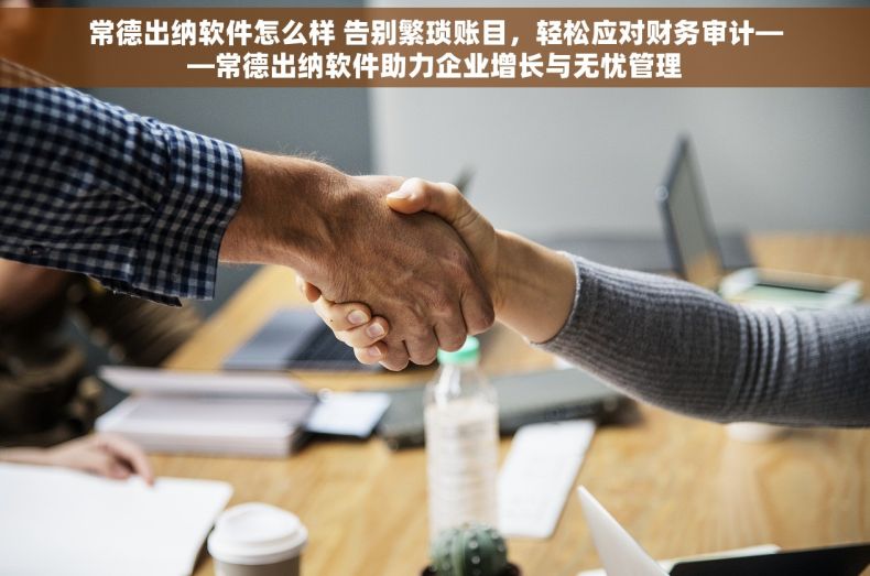 常德出纳软件怎么样 告别繁琐账目，轻松应对财务审计——常德出纳软件助力企业增长与无忧管理