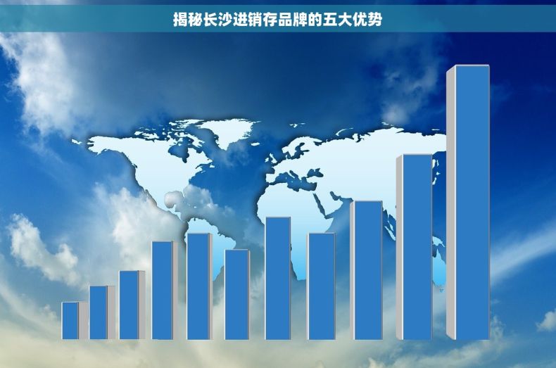 揭秘长沙进销存品牌的五大优势