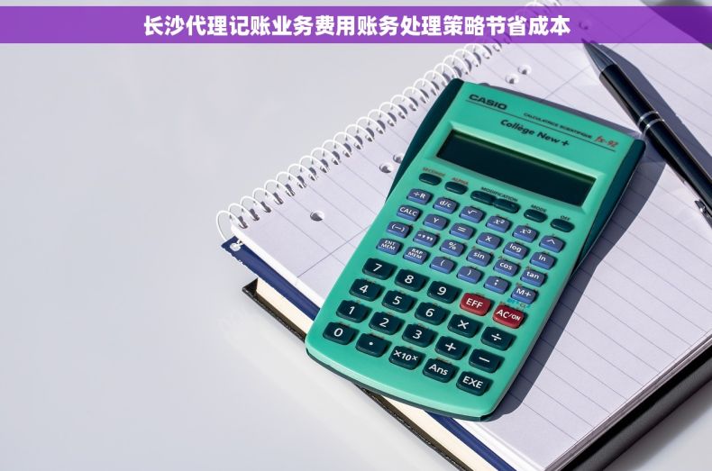 长沙代理记账业务费用账务处理策略节省成本