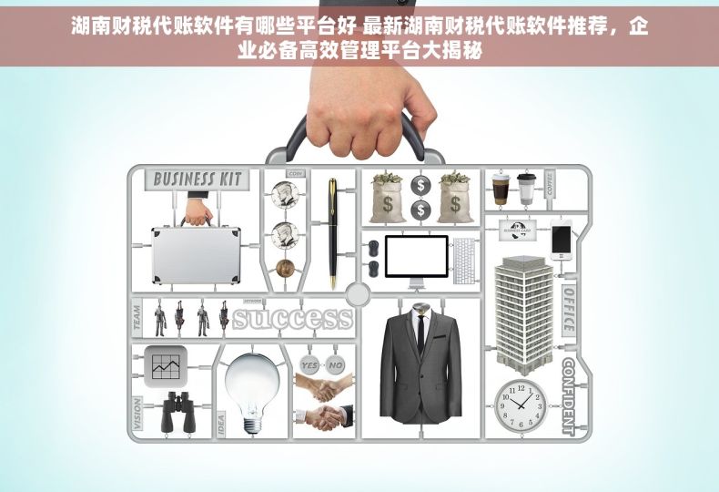 湖南财税代账软件有哪些平台好 最新湖南财税代账软件推荐，企业必备高效管理平台大揭秘