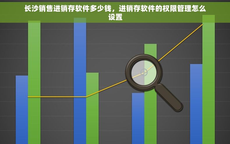 长沙销售进销存软件多少钱，进销存软件的权限管理怎么设置