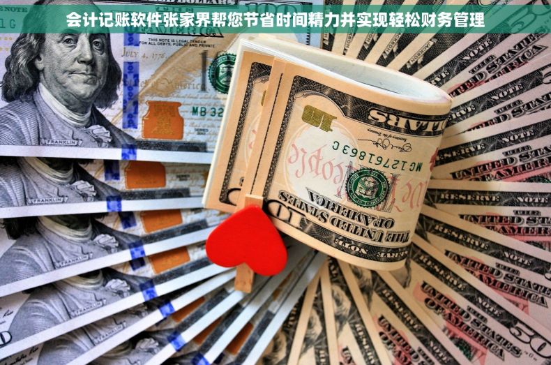 会计记账软件张家界帮您节省时间精力并实现轻松财务管理