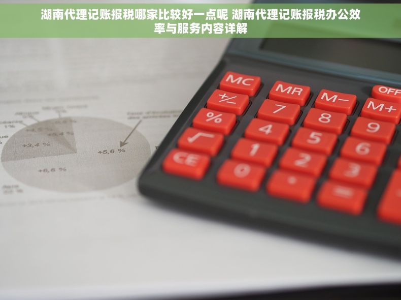 湖南代理记账报税哪家比较好一点呢 湖南代理记账报税办公效率与服务内容详解