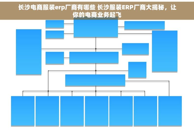 长沙电商服装erp厂商有哪些 长沙服装ERP厂商大揭秘，让你的电商业务起飞