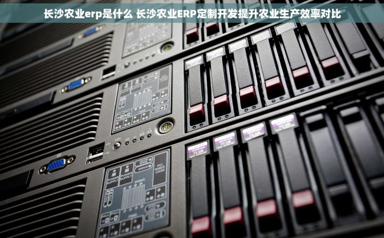长沙农业erp是什么 长沙农业ERP定制开发提升农业生产效率对比