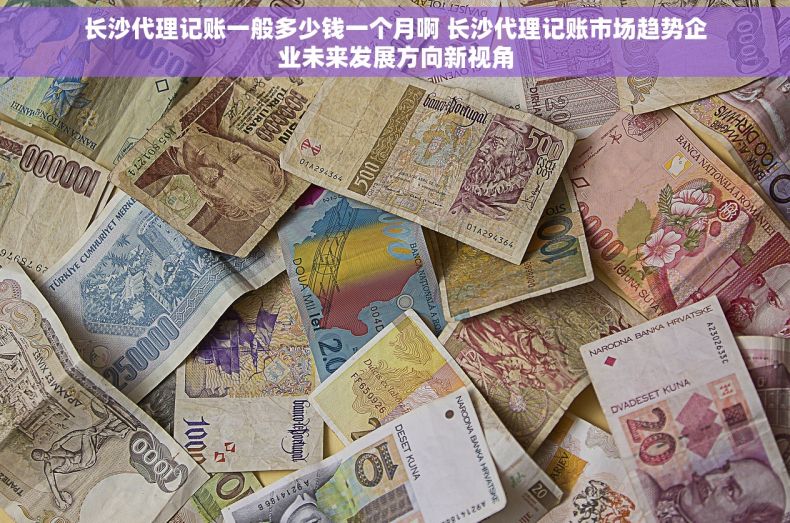 长沙代理记账一般多少钱一个月啊 长沙代理记账市场趋势企业未来发展方向新视角