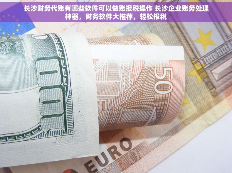 长沙财务代账有哪些软件可以做账报税操作 长沙企业账务处理神器，财务软件大推荐，轻松报税