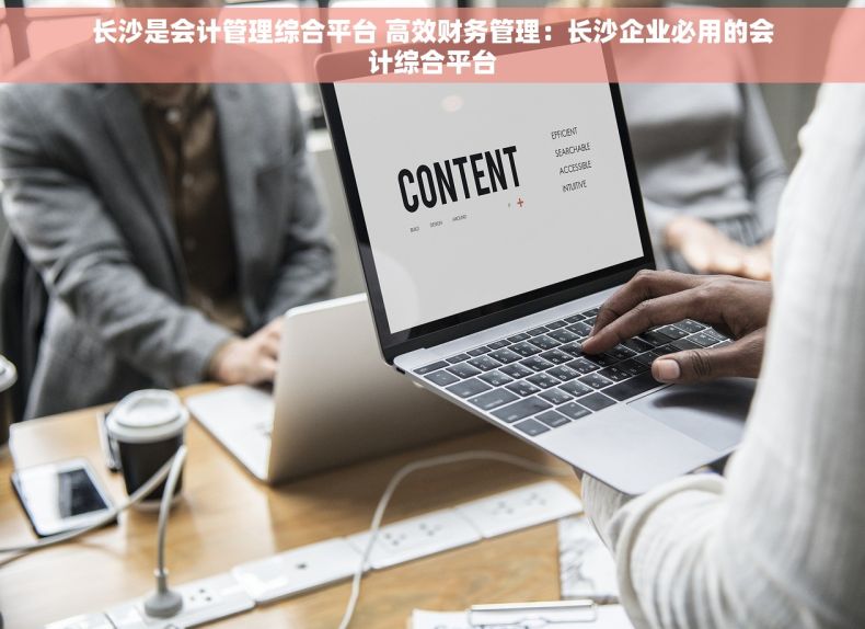 长沙是会计管理综合平台 高效财务管理：长沙企业必用的会计综合平台