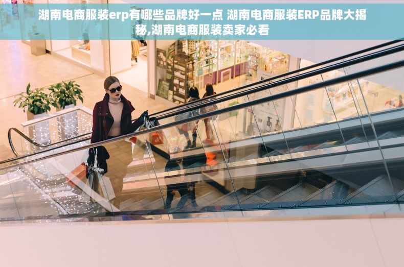 湖南电商服装erp有哪些品牌好一点 湖南电商服装ERP品牌大揭秘,湖南电商服装卖家必看