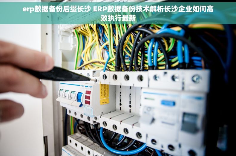 erp数据备份后缀长沙 ERP数据备份技术解析长沙企业如何高效执行最新