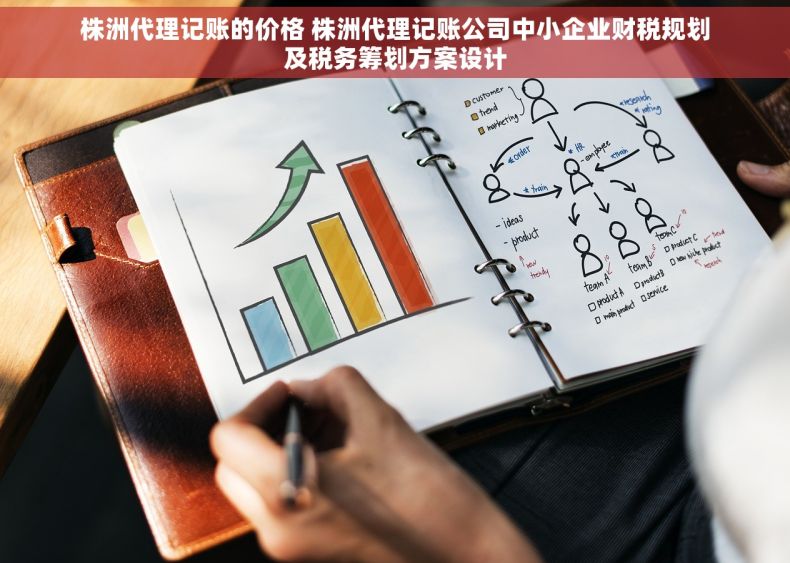 株洲代理记账的价格 株洲代理记账公司中小企业财税规划及税务筹划方案设计
