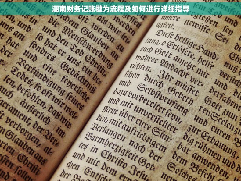 湖南财务记账犍为流程及如何进行详细指导