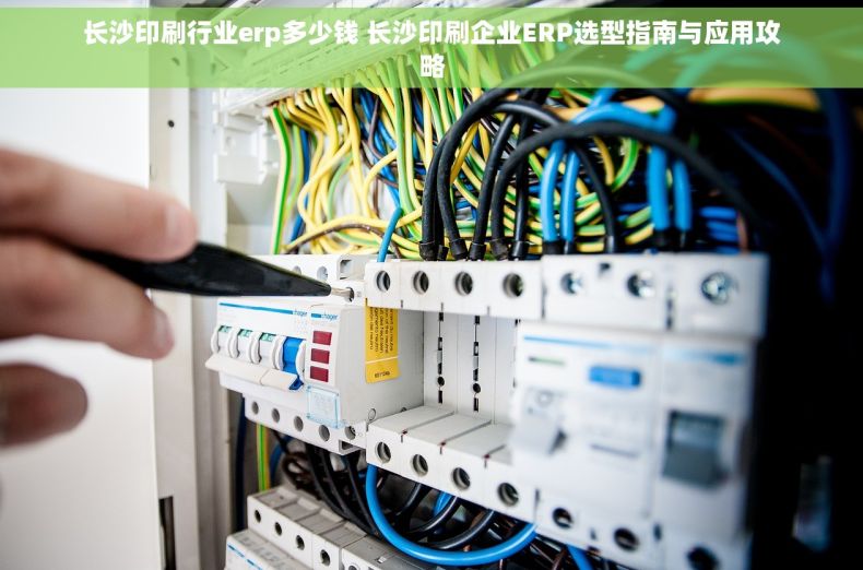 长沙印刷行业erp多少钱 长沙印刷企业ERP选型指南与应用攻略
