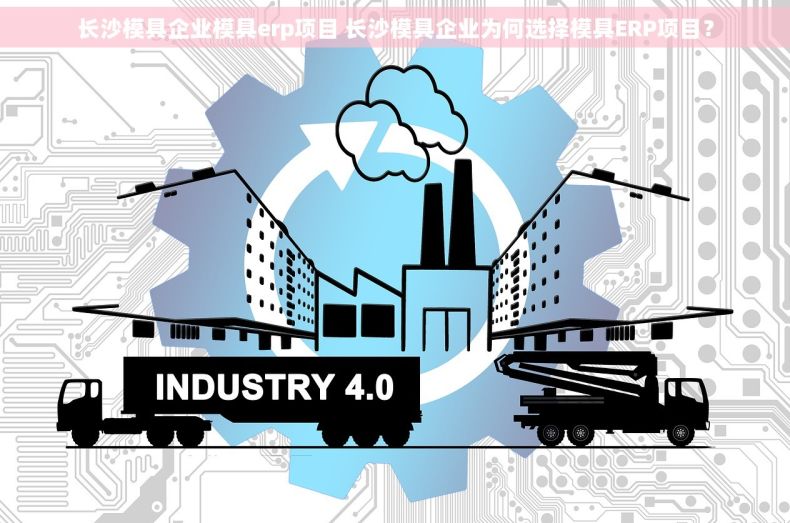 长沙模具企业模具erp项目 长沙模具企业为何选择模具ERP项目？