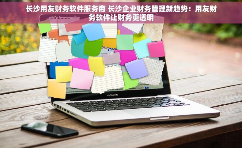 长沙用友财务软件服务商 长沙企业财务管理新趋势：用友财务软件让财务更透明