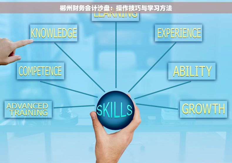 郴州财务会计沙盘：操作技巧与学习方法