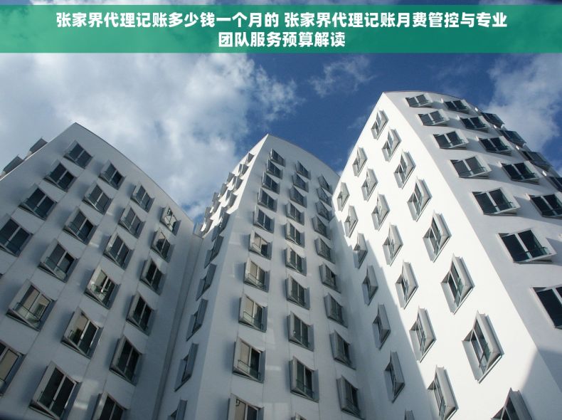 张家界代理记账多少钱一个月的 张家界代理记账月费管控与专业团队服务预算解读