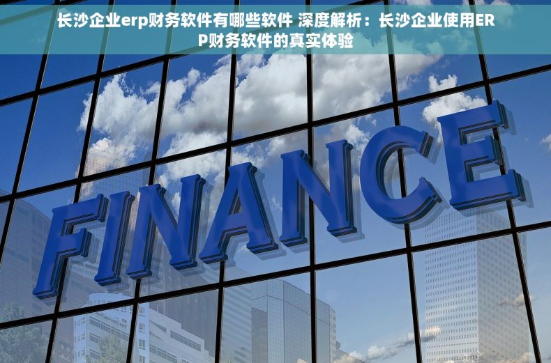 长沙企业erp财务软件有哪些软件 深度解析：长沙企业使用ERP财务软件的真实体验
