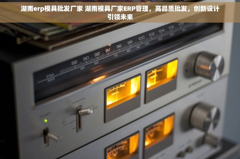湖南erp模具批发厂家 湖南模具厂家ERP管理，高品质批发，创新设计引领未来