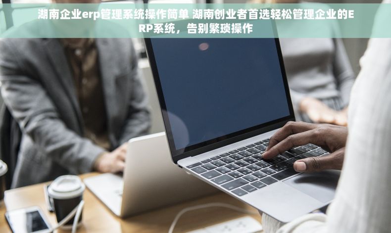 湖南企业erp管理系统操作简单 湖南创业者首选轻松管理企业的ERP系统，告别繁琐操作