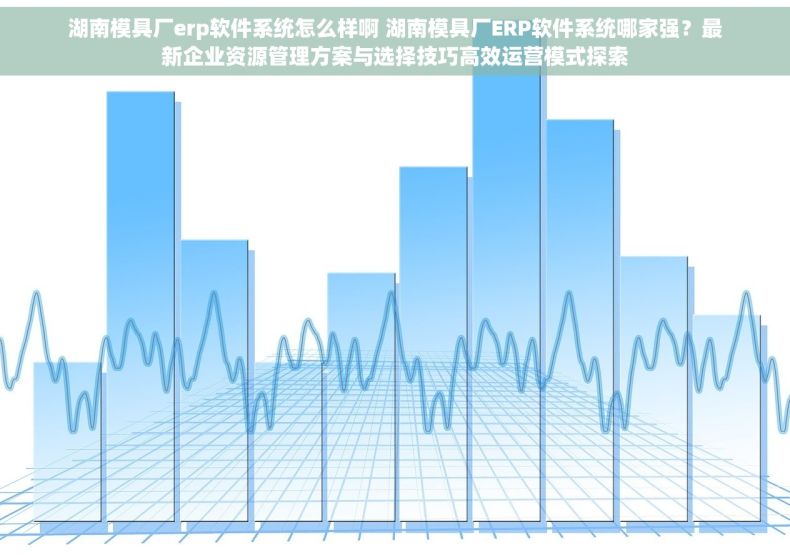 湖南模具厂erp软件系统怎么样啊 湖南模具厂ERP软件系统哪家强？最新企业资源管理方案与选择技巧高效运营模式探索