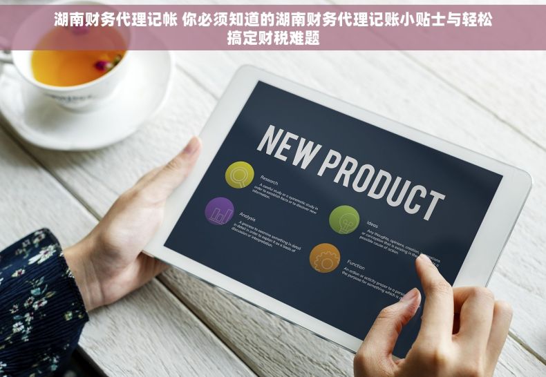 湖南财务代理记帐 你必须知道的湖南财务代理记账小贴士与轻松搞定财税难题