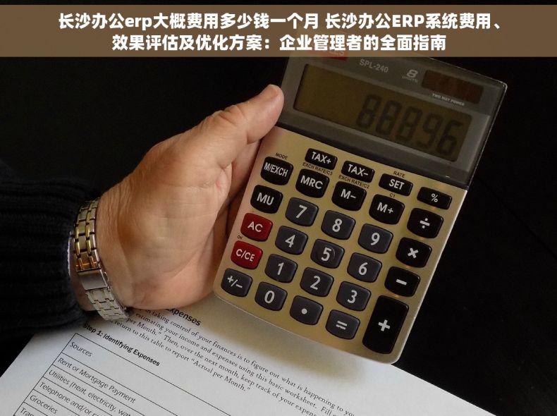 长沙办公erp大概费用多少钱一个月 长沙办公ERP系统费用、效果评估及优化方案：企业管理者的全面指南