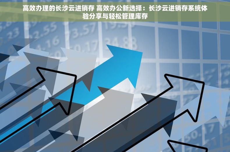 高效办理的长沙云进销存 高效办公新选择：长沙云进销存系统体验分享与轻松管理库存