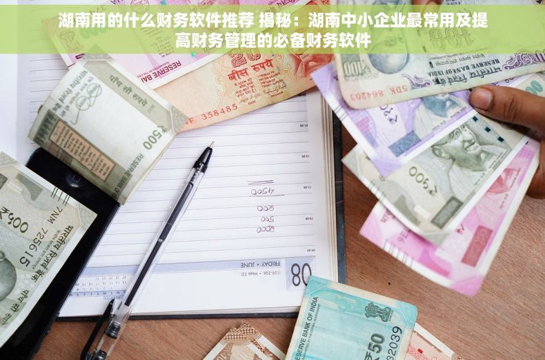 湖南用的什么财务软件推荐 揭秘：湖南中小企业最常用及提高财务管理的必备财务软件