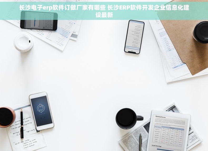 长沙电子erp软件订做厂家有哪些 长沙ERP软件开发企业信息化建设最新