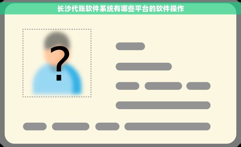 长沙代账软件系统有哪些平台的软件操作