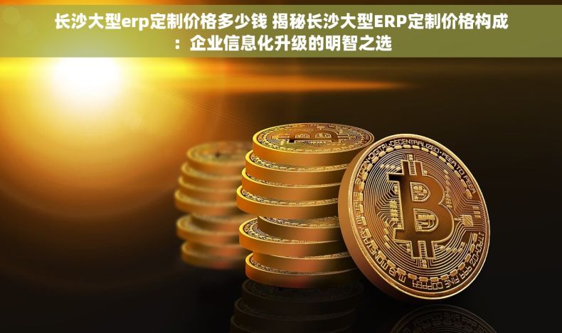 长沙大型erp定制价格多少钱 揭秘长沙大型ERP定制价格构成：企业信息化升级的明智之选