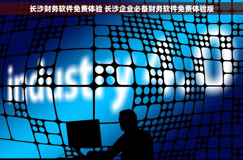 长沙财务软件免费体验 长沙企业必备财务软件免费体验版
