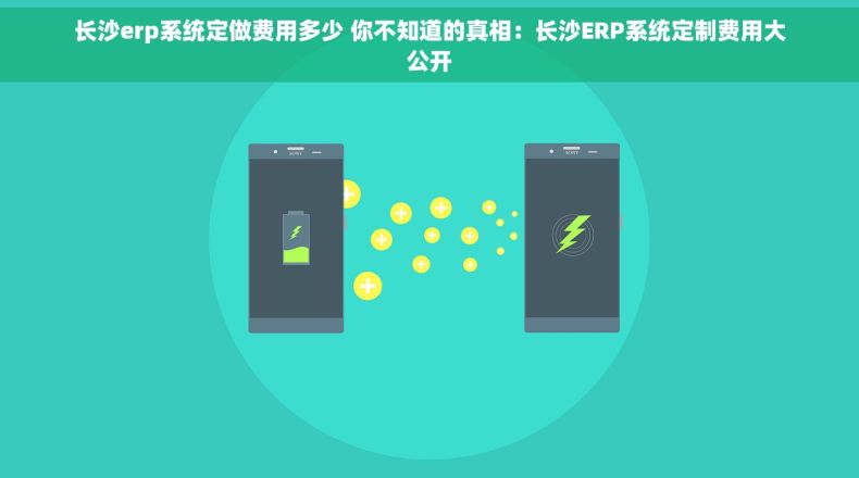 长沙erp系统定做费用多少 你不知道的真相：长沙ERP系统定制费用大公开
