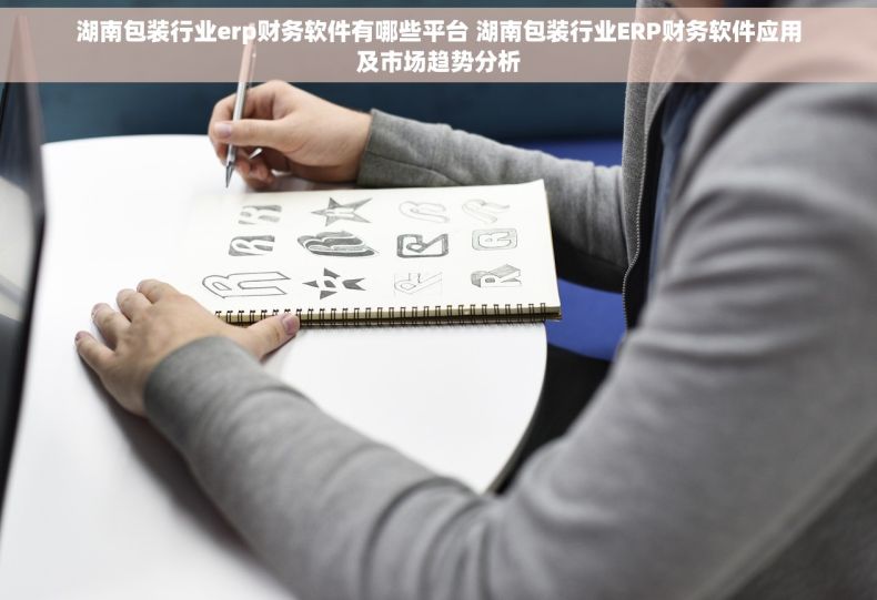 湖南包装行业erp财务软件有哪些平台 湖南包装行业ERP财务软件应用及市场趋势分析