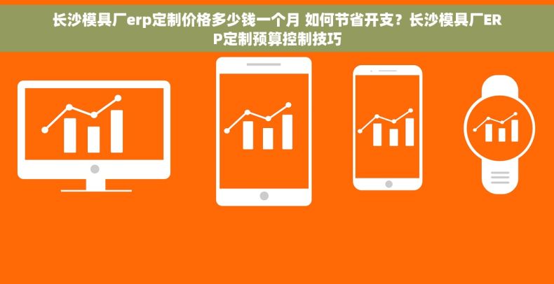 长沙模具厂erp定制价格多少钱一个月 如何节省开支？长沙模具厂ERP定制预算控制技巧