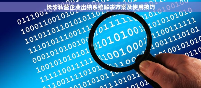 长沙私营企业出纳系统解决方案及使用技巧
