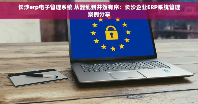 长沙erp电子管理系统 从混乱到井然有序：长沙企业ERP系统管理案例分享