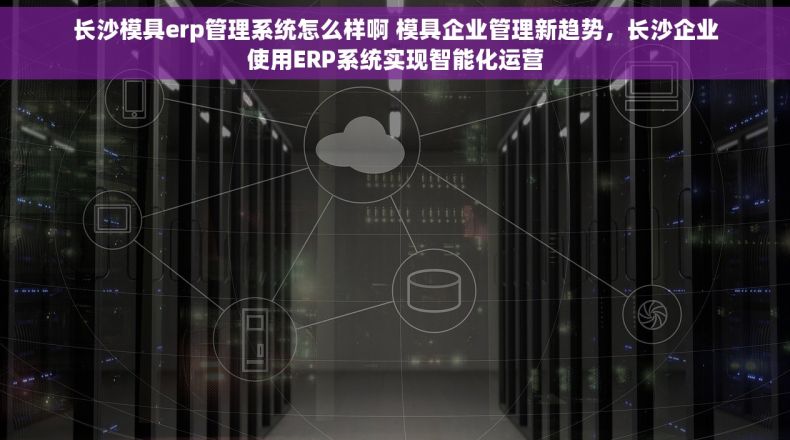 长沙模具erp管理系统怎么样啊 模具企业管理新趋势，长沙企业使用ERP系统实现智能化运营