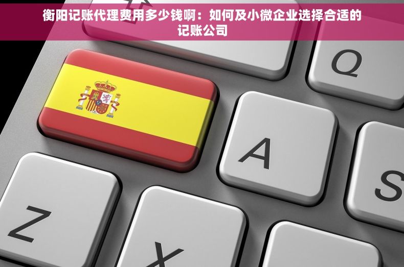 衡阳记账代理费用多少钱啊：如何及小微企业选择合适的记账公司