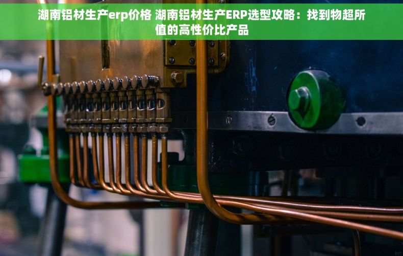 湖南铝材生产erp价格 湖南铝材生产ERP选型攻略：找到物超所值的高性价比产品