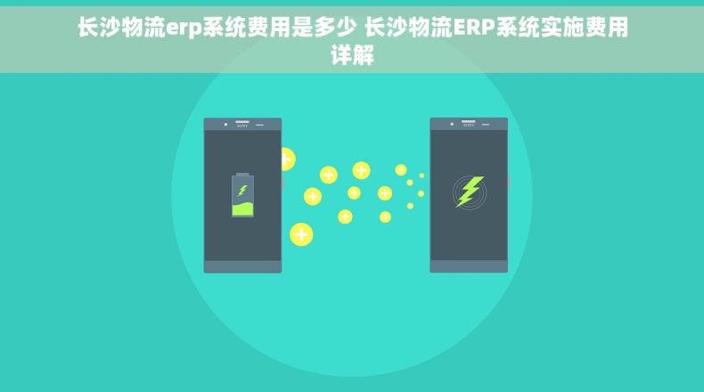 长沙物流erp系统费用是多少 长沙物流ERP系统实施费用详解