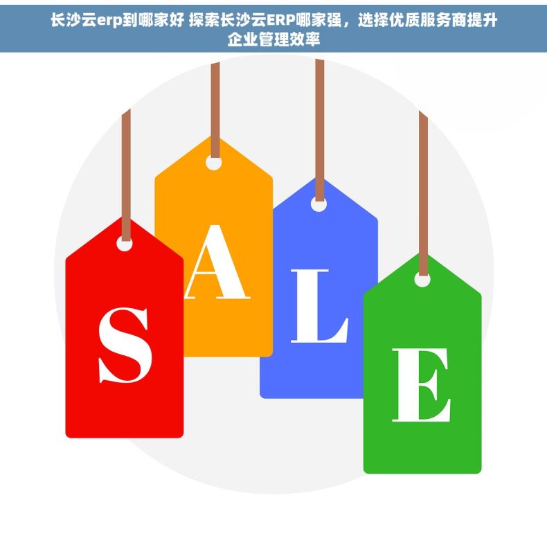 长沙云erp到哪家好 探索长沙云ERP哪家强，选择优质服务商提升企业管理效率