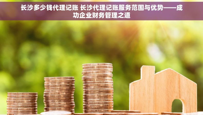 长沙多少钱代理记账 长沙代理记账服务范围与优势——成功企业财务管理之道