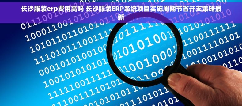 长沙服装erp费用高吗 长沙服装ERP系统项目实施周期节省开支策略最新