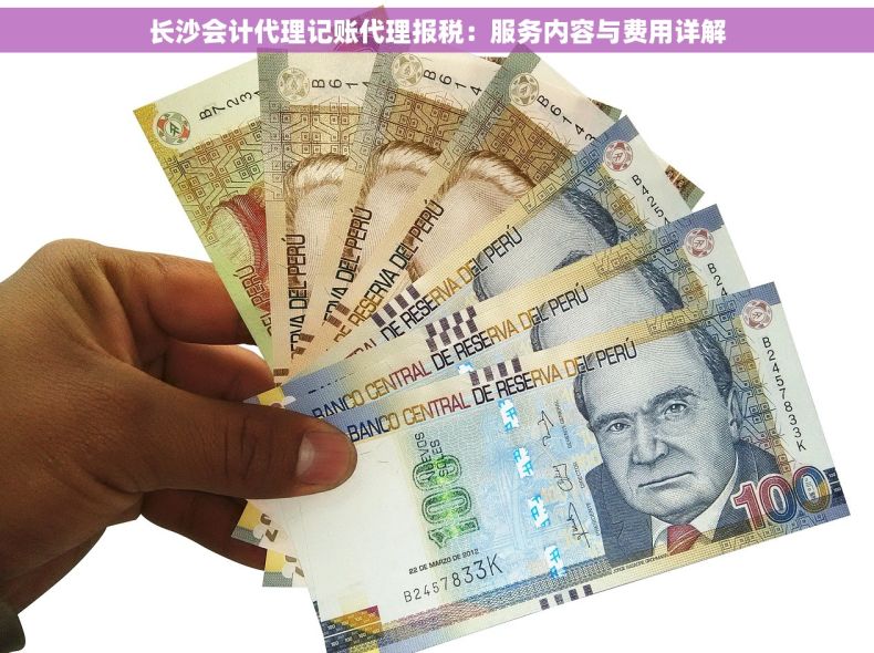 长沙会计代理记账代理报税：服务内容与费用详解